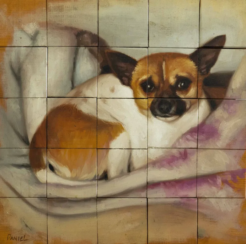 dog