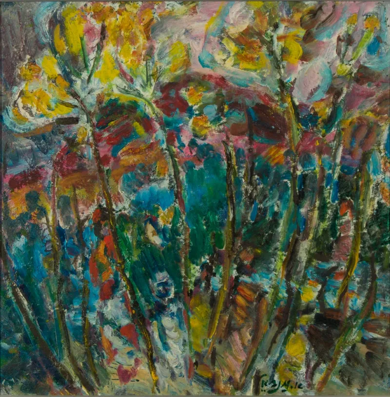 Field-of-flowers