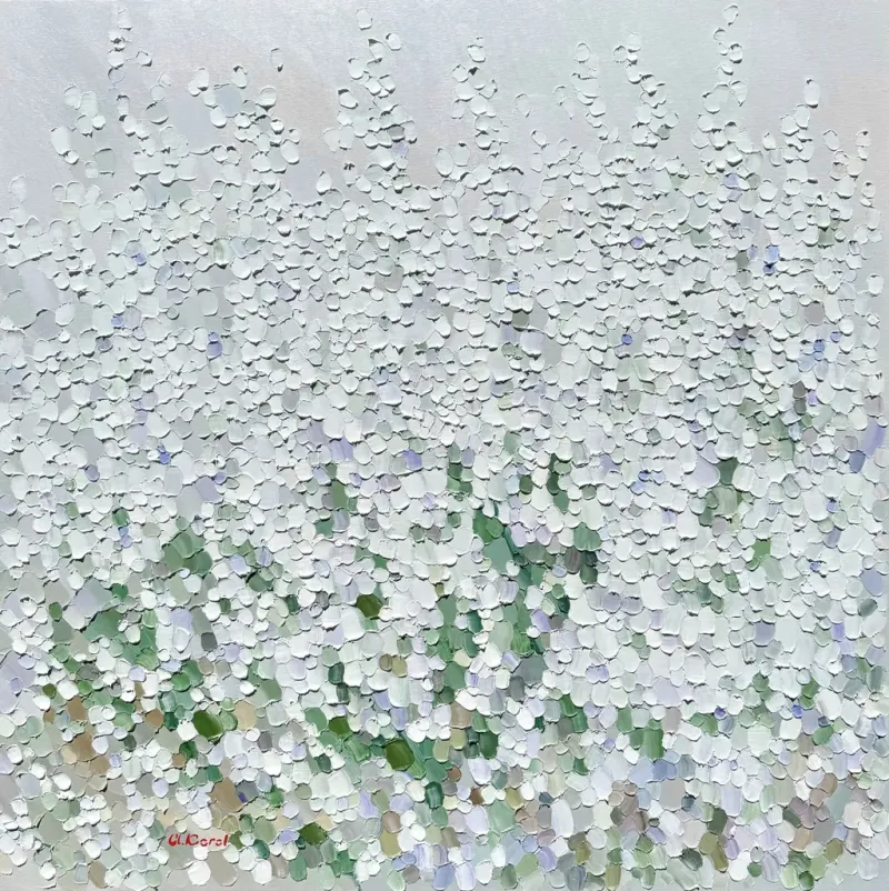 White-lavender-haze