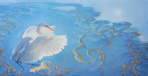 A-GREAT-WHITE-HERON