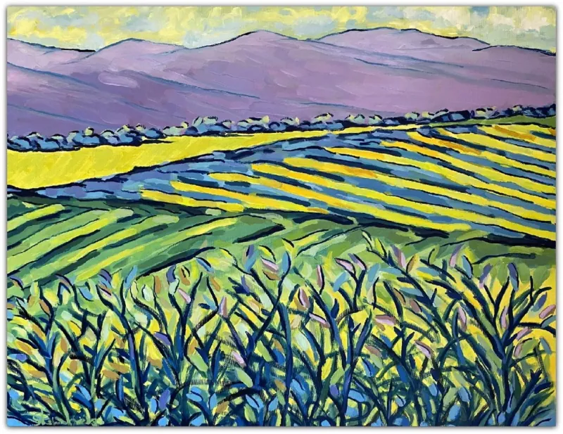 Fields