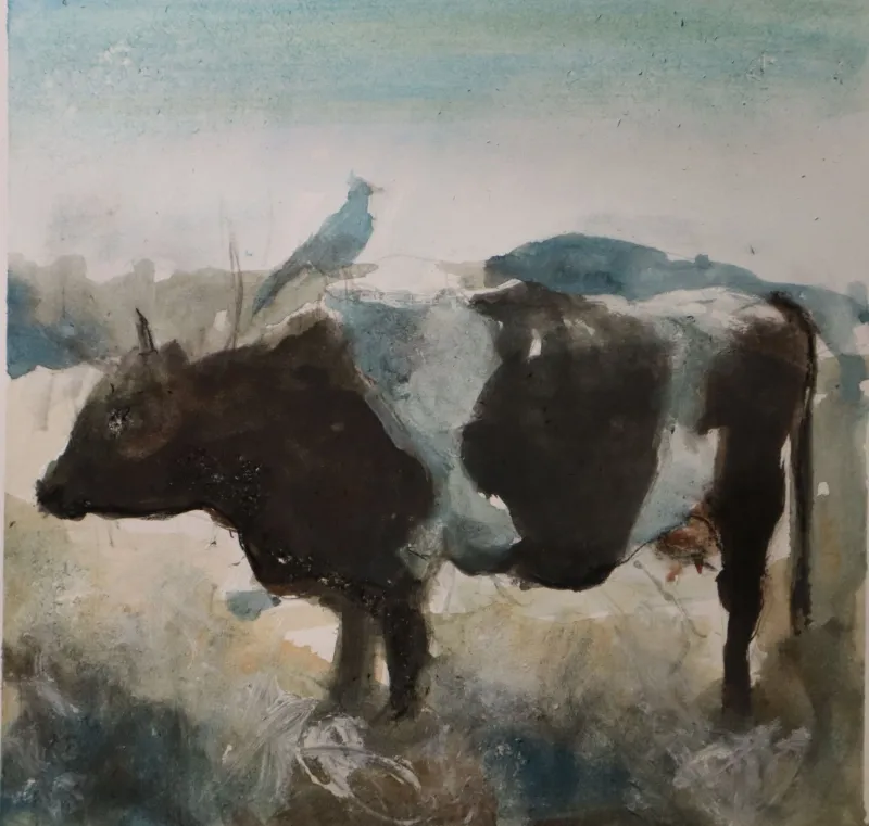 Cow