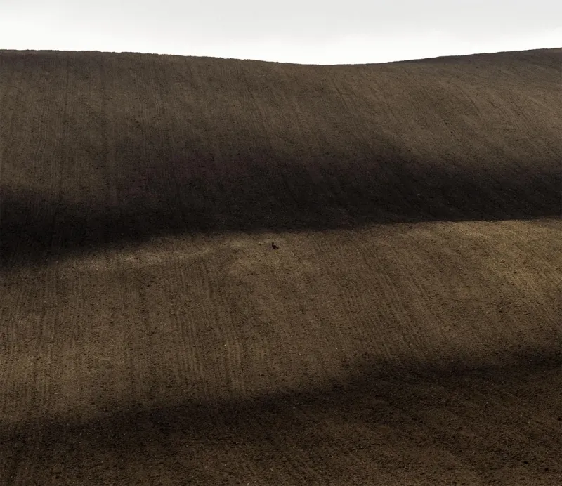 _55A2471-Pano_b.webp