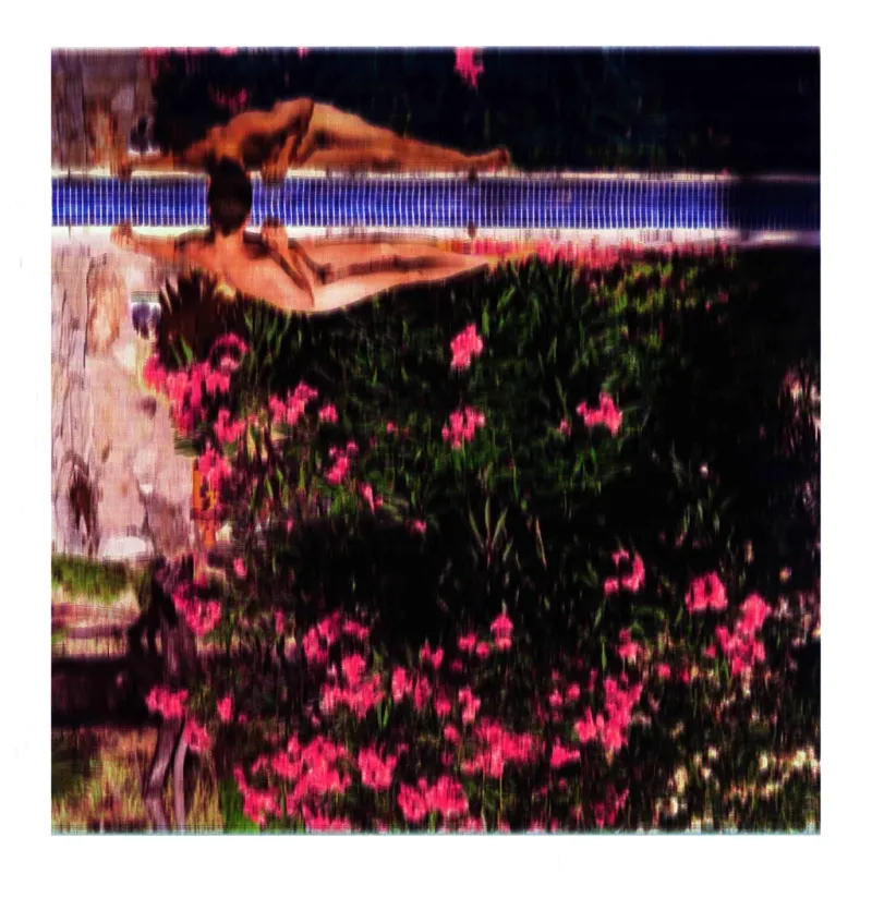 Narcissus