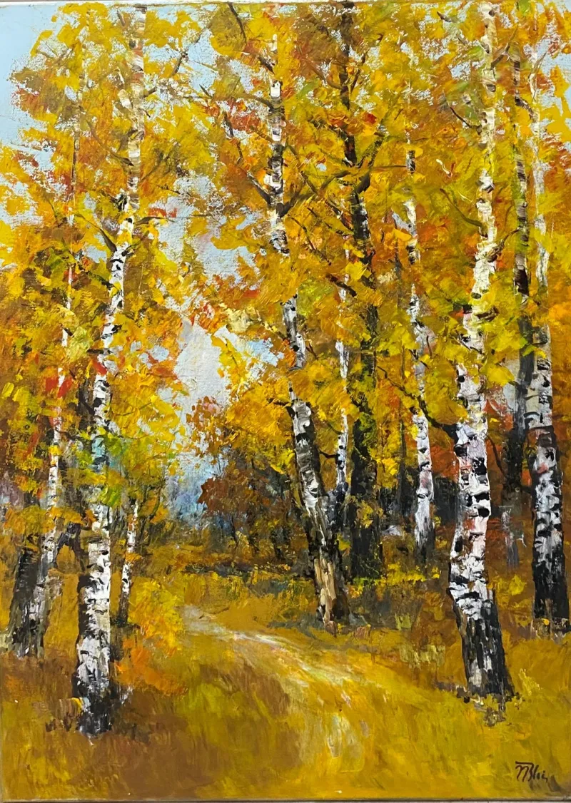 Birch-Forest-2