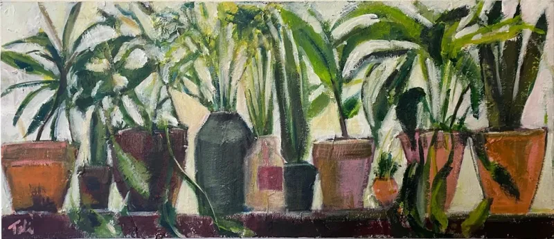 Shiras-pots