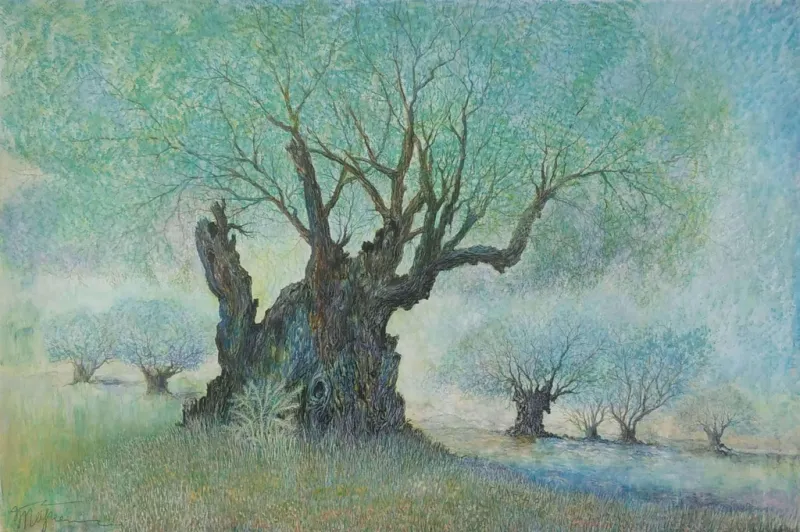 The-olive-tree