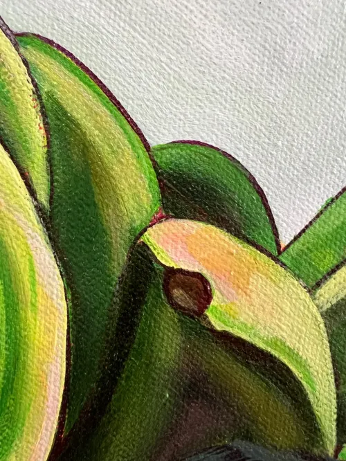 Harvest Voyage_detail 1 (2).webp
