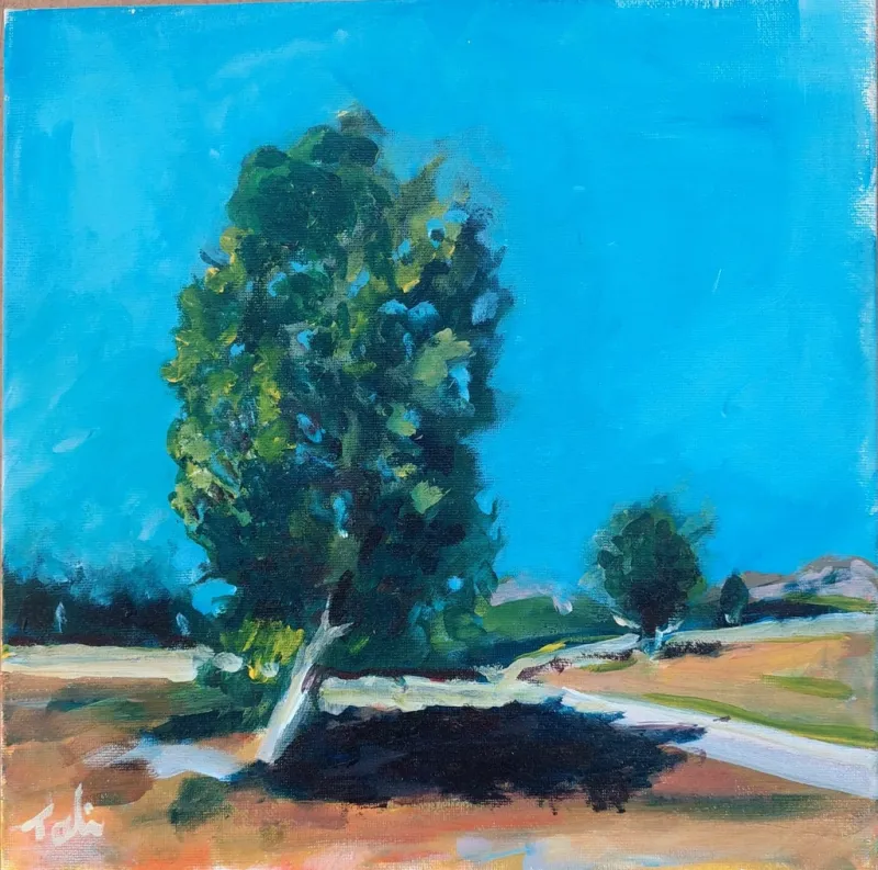 Tree-under-a-blue-sky