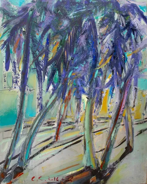 Dominican Forest
