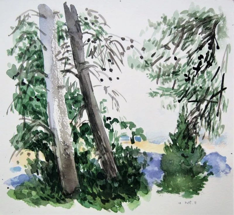 Between-the-trees