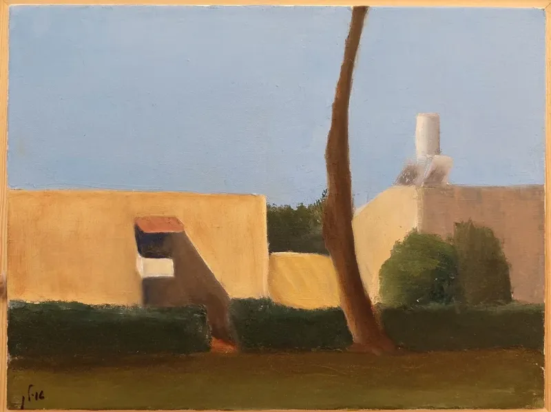 Houses in the neighborhood