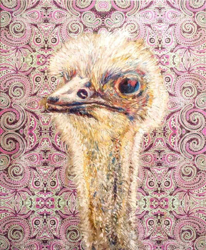 Ostrich