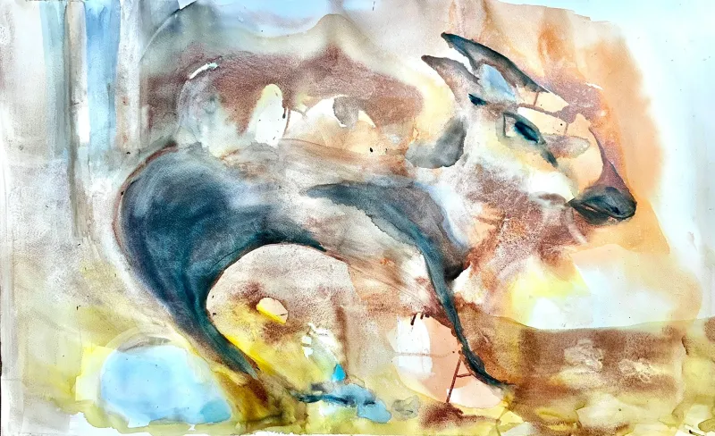 Caves dog spirit