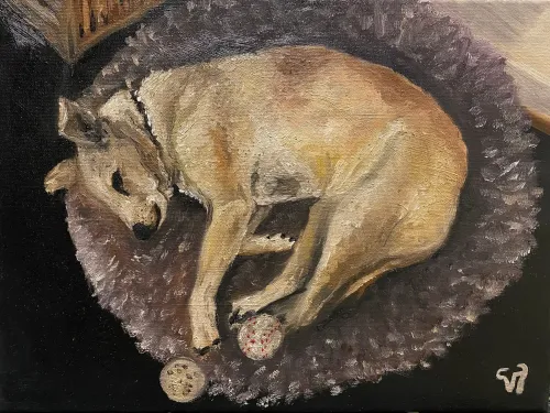 Portrait of Gola 