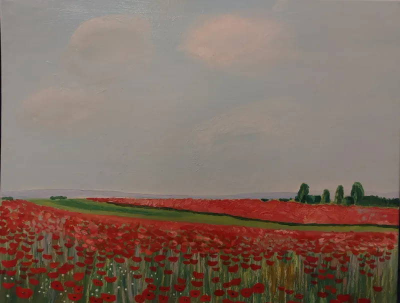 Poppy ukrainian field