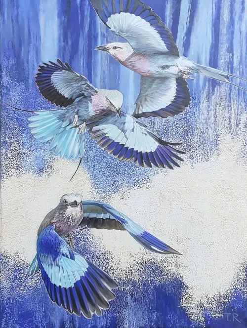LILAC-BREASTED-ROLLERS