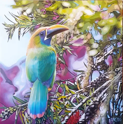 EMERALD-TOUCANET