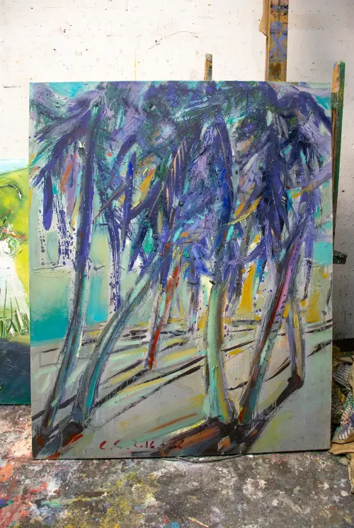 Dominican forest 3.webp