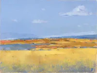 Blooming-Fields