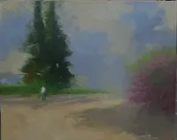 A-figure-for-a-path