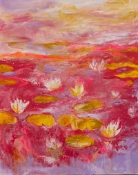Pink-water-lilies