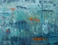 Reefs