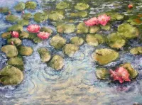 Lilies-in-a-pond