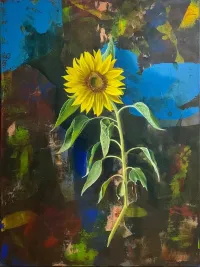 Canticle-of-the-Sun