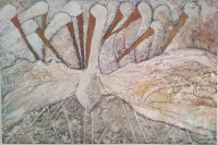 White-wings