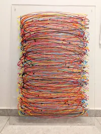 Lines-of-Freedom