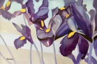 Nostalgi-Irises