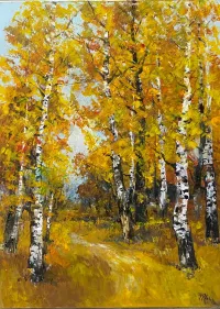 Birch-Forest-2