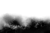 The-Timeless-Appeal-of-Black-and-White-Artwork