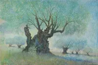 The-olive-tree