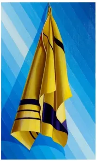 Suspended Drape