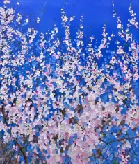 Spring-in-the-mountains