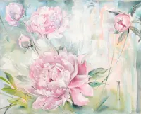 Peonies