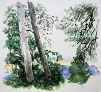 Between-the-trees