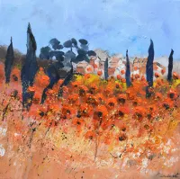 Red-poppies-in-Provence