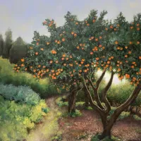 Orange-trees