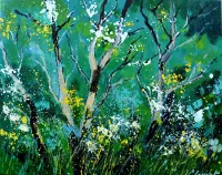 Spring-in-the-wood