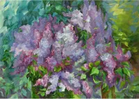 Lilac-3