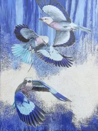 LILAC-BREASTED-ROLLERS